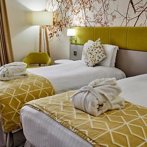 Executive Twin Room