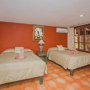 Two Queen Bed Studio	