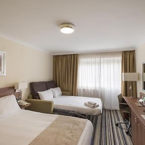 Standard Double Room Sofa Bed