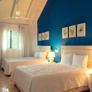Habitación Superior