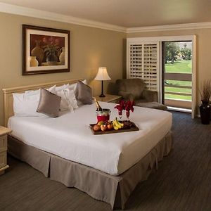 Standard King Room View