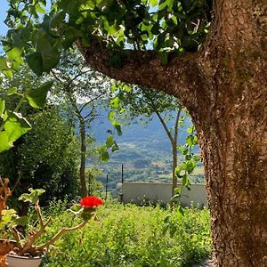 B&B Al San Francesco