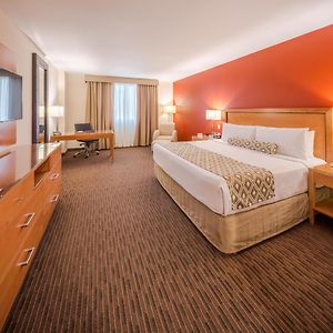 Executive King Room