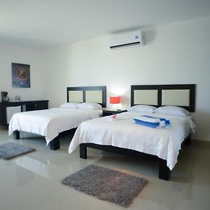 Superior King Suite