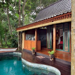 Masakali Retreat