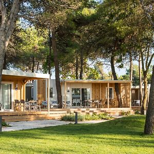 Deluxe Three-Bedroom Mobile Home Terrace