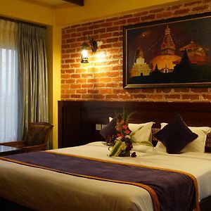 Standard Single Room Mountain View