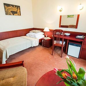 Comfort Doppelzimmer