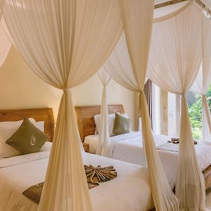 Premier Deluxe Zimmer mit zwei Einzelbetten