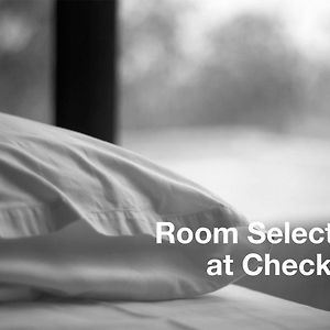 Double or Twin Room without Balcony