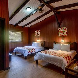 Chambre Standarde