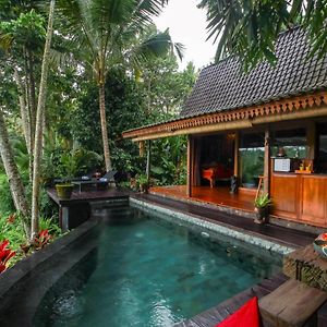 Surya Villa