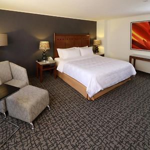 Premium King Room