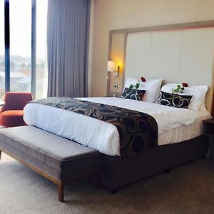 Suite Adults Only