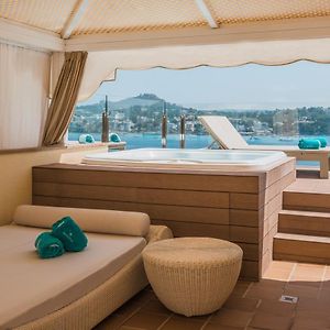Suite Premium