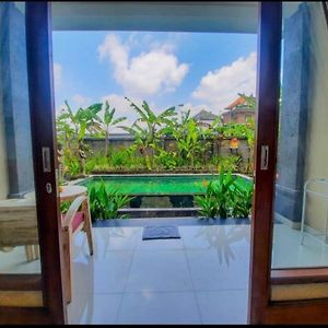 Standard Room Pool View