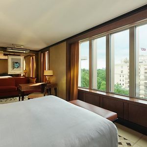 Camera park con letto king size