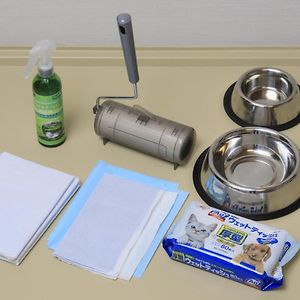 Japanese-Style Standard Room