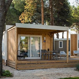 Premium Two-Bedroom Mobile Home Terrace