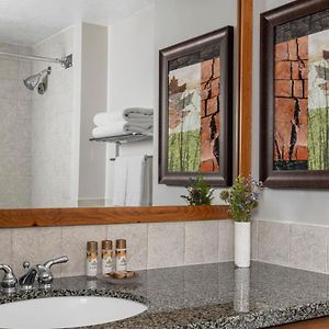 Large One-Bedroom Suite