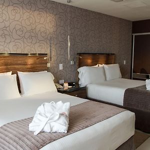 Superior Double Room Two Double Beds