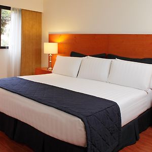 Suite Apartment
