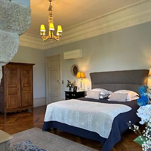 Suite Junior