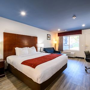 King Room Disability Access
