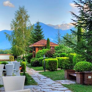 Green Wood Hotel & Spa