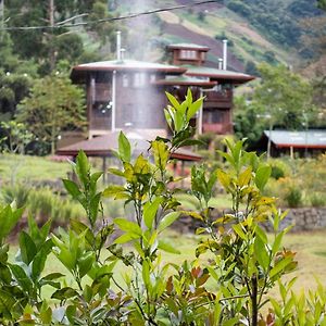 Los Quetzales Ecolodge & Spa