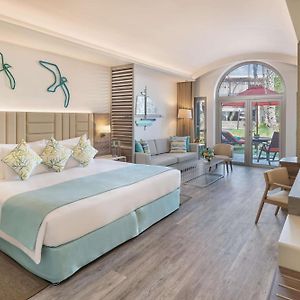 Suite Junior Premium