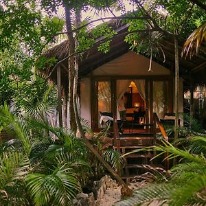 Double Jungle
