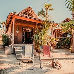 Premium Garden Tiki hutte-one bedroom sofa bed