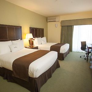 Habitación Adaptada para Personas de Movilidad Reducida con Cama Queen