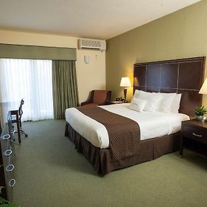Habitación con Cama King
