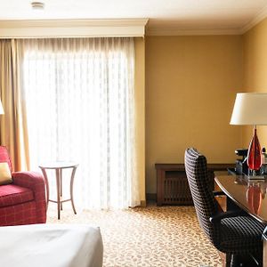 King or Double Room