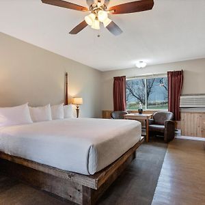 Standard King Room 03