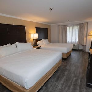 Suite Two Queen Beds Mobility Access or Non-Smoking