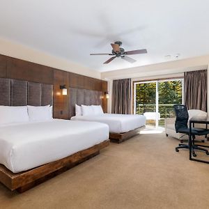 King Room Two King Beds