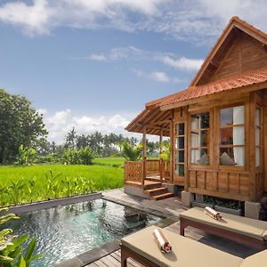 Pool One-Bedroom Villa
