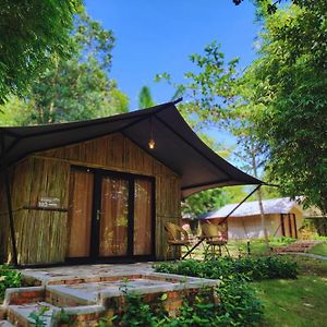 Glamping Tent