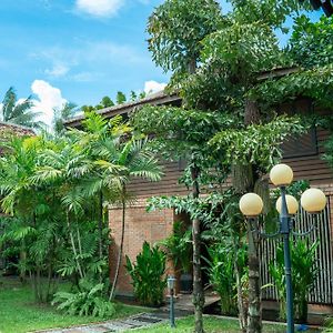 4-Bed Mixed Dormitory Room