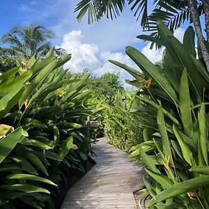 Eden Paradise Ecolodge & Spa