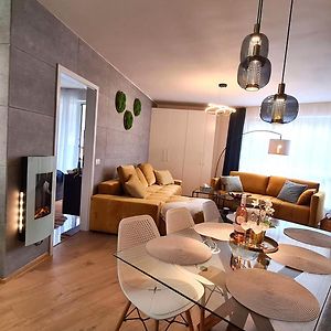 Deluxe One-Bedroom Apartment