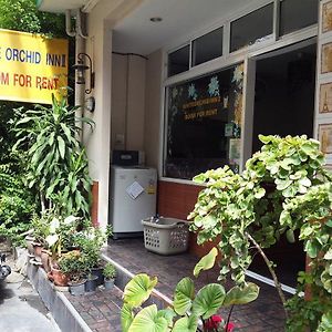 White Orchid Inn II