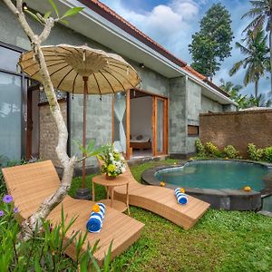 The Alus Cottage And Villa