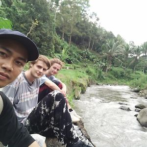Lionk Bali House