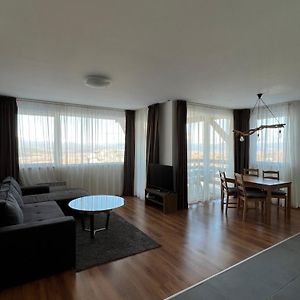 One-Bedroom Twin Apartment Sofa Bed Balcony Kitchenette or Fireplace
