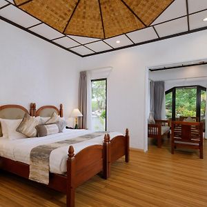 Chambre de Luxe au Bord de la Mer
