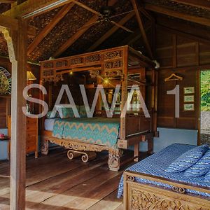 Double Room Mountain View